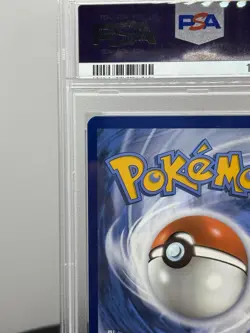 Pokemon TCG Dachsbun EX 169/142 Stellar Crown Special Illustration Rare PSA 9 - Image 3