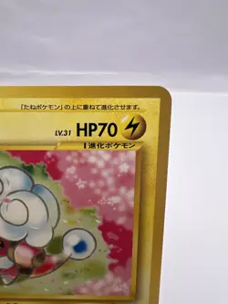 Pokemon Card Mareep Flaaffy Intro Pack Totodile Deck 2 Set EXC+ Japanese - Image 4