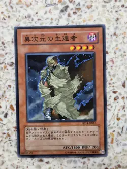 Yu-Gi-Oh! Cards D.D. Survivor Japanese Normal - Image 1