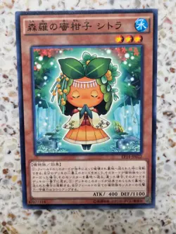 Yu-Gi-Oh! Cards Sylvan Mikorange Japanese Normal - Image 1