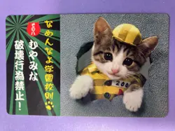 Namennayo Nameneko School Rule Card No Vandalism Construction Kitten Japanese - Image 1