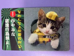 Namennayo Nameneko School Rule Card No Vandalism Construction Kitten Japanese - Image 3