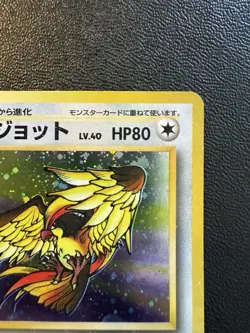 Pokemon Card - Pidgeot Holo Rare 018 - Japanese Vintage Old Back Fossil - Image 3