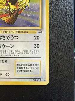 Pokemon Card - Pidgeot Holo Rare 018 - Japanese Vintage Old Back Fossil - Image 4