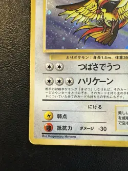 Pokemon Card - Pidgeot Holo Rare 018 - Japanese Vintage Old Back Fossil - Image 5