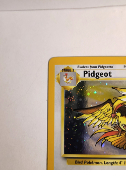 👀 VIDEO - Pokemon Pidgeot TCG Base Set 2 Holo Rare Card 14/130 NM Condition - Image 3