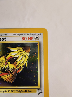 👀 VIDEO - Pokemon Pidgeot TCG Base Set 2 Holo Rare Card 14/130 NM Condition - Image 4