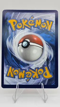 Rayquaza - SWSH029 - SWSH: Sword & Shield Promo Cards (SWSD) - Image 2