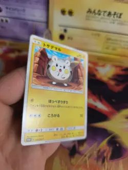 Pokemon Karte Card Togedemaru Sun & Moon Promo Black Star japanese NM - Image 5