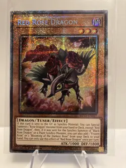 Yu-Gi-Oh! Red Rose Dragon MP25-EN037 * Starlight Rare * 1st Edition NM - Image 1
