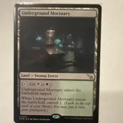 MTG: 2x Underground Mortuary Cards 1 Borderless 1 Reg Murders at Karlov Manor - Image 4
