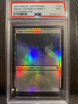 MTG - Foil - Snow-Covered Forest (284) - Kaldheim PSA 9 Mint - Image 1