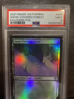 MTG - Foil - Snow-Covered Forest (284) - Kaldheim PSA 9 Mint - Image 3