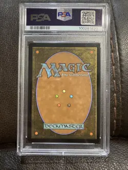 MTG - Foil - Snow-Covered Forest (284) - Kaldheim PSA 9 Mint - Image 4