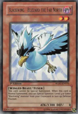Yugioh Blackwing - Blizzard the Far North RGBT-EN010 Rare 1st Edition NM - Image 1