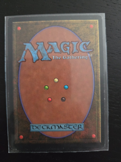 Magic - MtG - Mirage - Preceptrice Mystique - VF - Image 2
