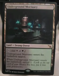 Magic: The Gathering Underground Mortuary Card - Swamp Forest Land - Image 1