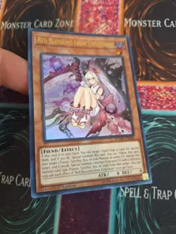 Yugioh Red Blossoms from Underroot DUDE-EN006 Ultra Rare 1st Edition Near Mint - Image 2