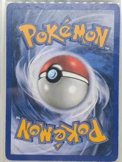 Charizard 146/144 Skyridge Reverse Holo Ultra Secret Rare Pokemon TCG AIGrading - Image 4