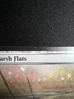 Marsh Flats (MH2 248) - Modern Horizons 2 - Non-Foil - Moderately Played - MTG - Image 2