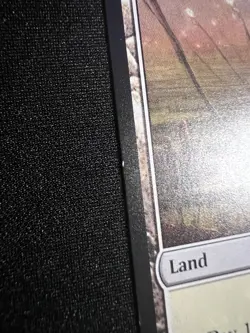 Marsh Flats (MH2 248) - Modern Horizons 2 - Non-Foil - Moderately Played - MTG - Image 3