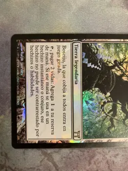 CHK Mother Sacred Tree Foil MTG EDH Card Protector All Languages Used Condition - Image 3