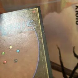 Legends LEG Chromium English First Edition MTG Card Old School Used - Image 5