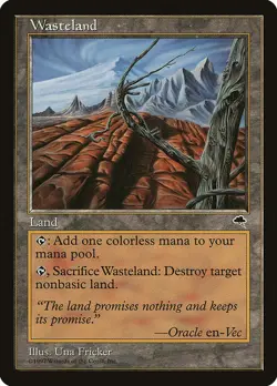 MTG Wasteland Tempest English Land Card Used - Image 1