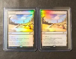 Wasteland English Foil Set of 2 Secret Lair MTG Magic the Gathering - Image 1
