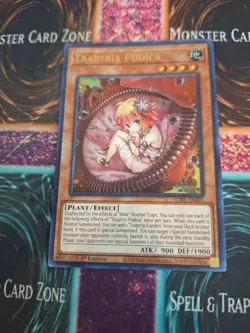 Yugioh Traptrix Pudica SDBT-EN001 Ultra Rare 1st Edition Near Mint - Image 1