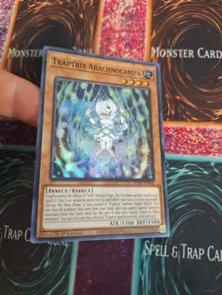 Yugioh Traptrix Arachnocampa SDBT-EN002 Super Rare 1st Edition Near Mint - Image 2