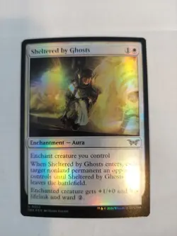 Sheltered by Ghosts Duskmourn: House of Horror Foil - Image 1