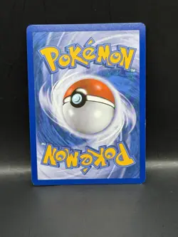 Pokemon Fennekin XY02 - Holo Promo - Black Star Promo - VLP - 2013 - Image 2