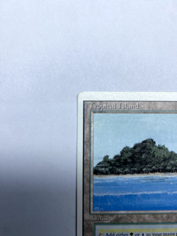 Tropical Island Revised Edition MP Magic the Gathering MtG - Image 2
