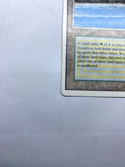 Tropical Island Revised Edition MP Magic the Gathering MtG - Image 4