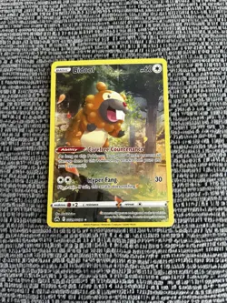 Pokemon TCG - Bidoof - GG29/GG70 Crown Zenith - Near-Mint Condition - Image 1