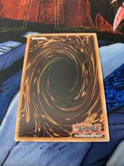Dracotail Phryxul DOOD-EN023 Secret Rare 1st Edition NM Yu-Gi-Oh TCG - Image 3