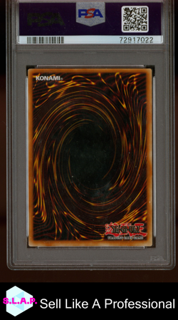 SKY SCOURGE NORLERAS YU-GI-OH! HOLO FORCE OF THE BREAKER EN022 2007 EN PSA 8 - Image 2