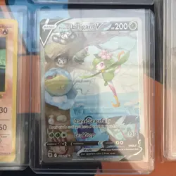 Pokemon TCG - Lot of Assorted Cards and Accessories - Near Mint/Mint/Sealed - Image 3