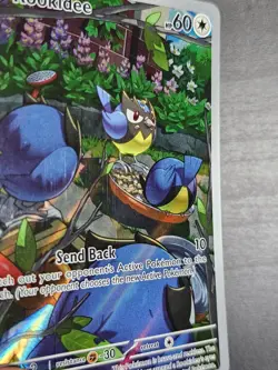 Rookidee 225/193 - Pokemon Paldea Evolved Illustration Rare - Image 2