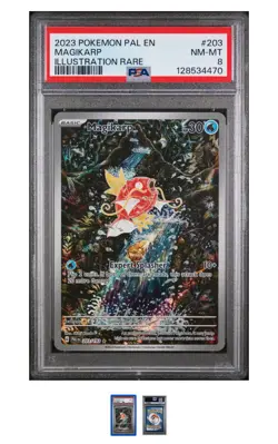 Pokemon Magikarp TCG Scarlet & Violet Paldea Evolved Holo Card 203/193 Psa 8 - Image 1