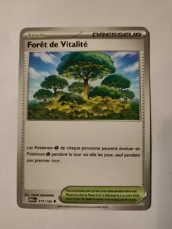 Carte Pokemon - Foret de Vitalite 117/132 - Mega Evolution ME01 - Image 1