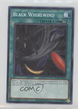 Black Whirlwind 1st Ed. YuGiOh Battles of Legend: Chapter 1 #BLC1-EN142 - Image 1