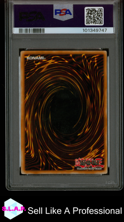 BLCK LUSTER SOLDIER YUGI EVO.S.D.-GER SYE YU-GI-OH! 2004 DE024 PSA 8 - Image 2