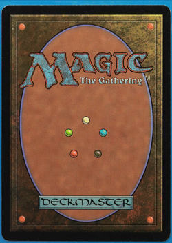 Faerie Macabre Shadowmoor NM Black Common SIGNED MTG CARD (ID# 504682) ABUGames - Image 2