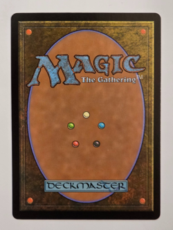 Lush Portico R0327 Foil (Borderless) Murders at Karlov Manor MTG NM - Image 2