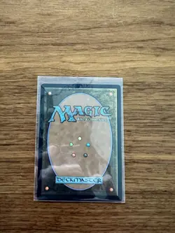 Hardened Scales - Extended Art Light Play, English Magic the Gathering MTG Unive - Image 2