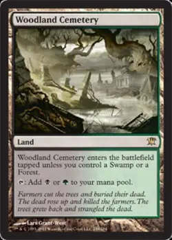 [1x] Woodland Cemetery - Foil Near Mint, English Innistrad MTG Magic - Image 1