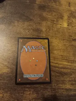 MTG Portal Simplified Chinese Alternate Art Vampiric Feast NM - Image 2