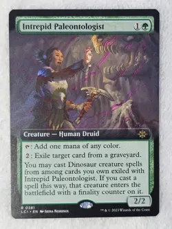 MTG Intrepid Paleontologist #381 Extended Art The Lost Caverns of Ixalan Rare NM - Image 2